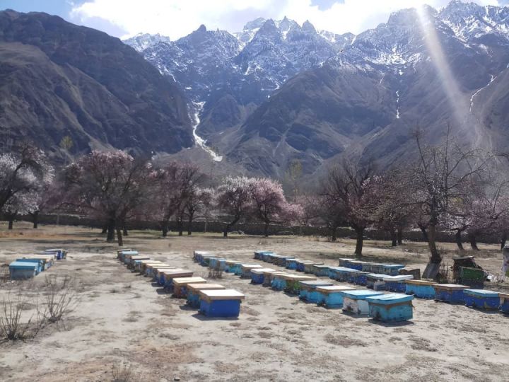 Hunza%20Healthy%20Honey-%20Pure%20Organic%20(1kg%20Jar)%20-%20Image%206