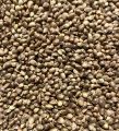 Sunfood Superfoods Raw Organic Hemp Seeds 300gm. 