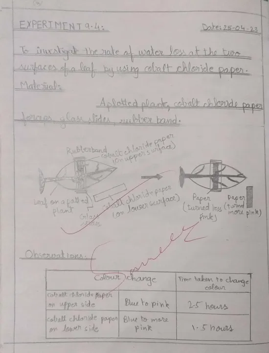 Practical%20Notebooks%20Hand%20Written%20Checked%20Punjab%20Boards%20Star%20-%209th%20&%2010th%20-%20Biology%20-%20Computer%20-%20Chemistry%20-%20Physics%20-%20Image%206