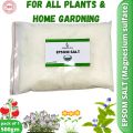 Epsom Salt 500 gram–for Plant Growth- Epsom Salt With Crystals For Plants/bath. 
