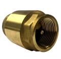Brass Check Valve 3/4'' NRV (Made In China). 