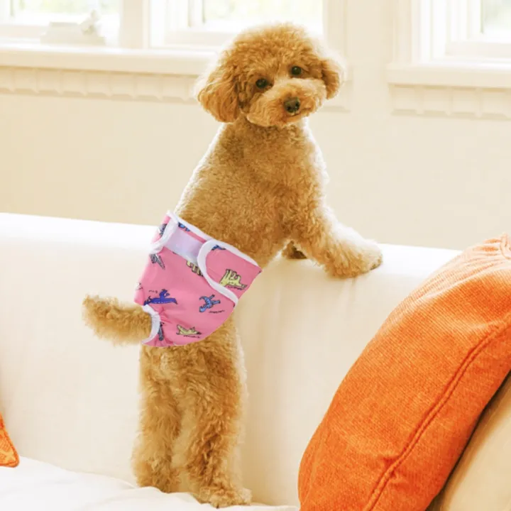 Waterproof%20Female%20and%20male%20Dog%20Shorts%20Puppy%20Physiological%20Pants%20Diaper%20Washable%20Pet%20Underwear%20For%20Small%20Meidium%20Girl%20Dogs%20-%20Image%205