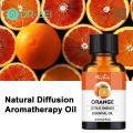 DR BEI Essential Oil Natural Ingredients Cypress Pine Needles Essential Oil. 