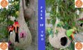 Handmade Artificial Bird nest, with Bird Egg Decorative Nest, excellent Decor BIRD Houses for inside cage and Outside Hanging Nesting Clearance Hand Woven Natural Humming Bird Nest Hut for Window Home Garden Outdoor Decoration. 
