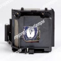XR30LP Compatible Projector Lamp with Housing AN-XR30LP Replacement Compatible with Sharp PG-F15X PG-F200X XG-F210 XG-F260X XR-30S XR-30X XR-40X XR-41X XG-F210X. 