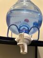 Hayat 19 Liter Water Bottle Tap for Water Dispensing. 