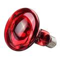 Infrared Bulb - IR Bulb 100 Watt. 