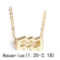 Aquarius Female Elegant Star Zodiac Sign 12 Constellation Necklaces  Pendant Charm Gold Chain Choker Necklaces for Women Jewelry Cardboard. 