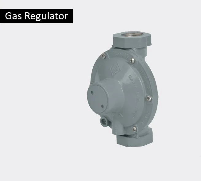 Domestic%20Gas%20Meter%20Regulator%20-%20Image%202