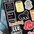 25pcs LEO sticker pack based on zodiac sign astrology main character stickers aesthetic cool for kids decor journal supplies. 