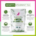 PCOS Spearmint Organic Tea-56gm. 