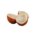 Whole Coconut -Sabut Khopra - 500gm Whole Coconut -Sabut Khopra - 500gm. 