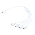 Rauf Traders 4 Pin RGB Led Connector Cable 1 TO 4 Female to Female 4pin RGB Splitter Cable For 3528 5050 3014. 