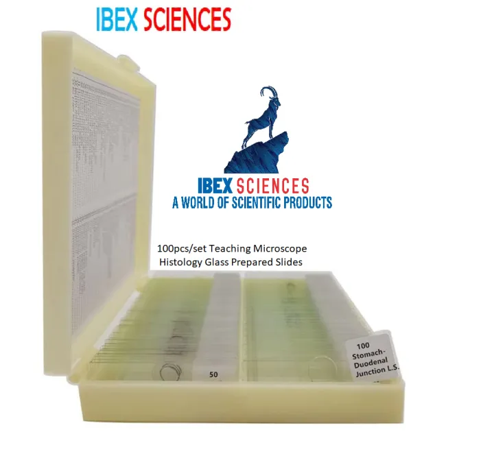 IBEX%20SCIENCES%20100pcs/set%20Teaching%20Microscope%20Histology%20Glass%20Prepared%20Slides%20-%20Image%202