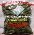 Guava Leaves 100 % Pure Organic well cleaned & Sun Dried 70 gm. 