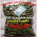 Guava Leaves 100 % Pure Organic well cleaned & Sun Dried 70 gm. 