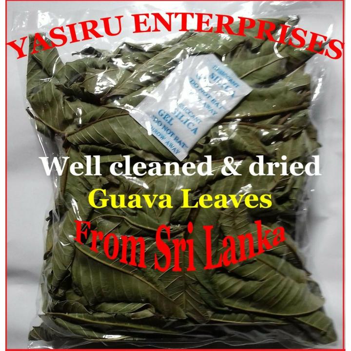 Guava Leaves 100 % Pure Organic well cleaned & Sun Dried 70 gm