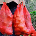 Mesh Bag for Harvesting Breathable Vegetable Storage Bags Set of 10 Reusable Mesh Bags with Drawstring for Home Use less Than Hanging Mesh Bag for Drying Onions. 