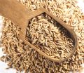 Zeera Safaid 100gm/White Cumin Seeds/Jeera India. 