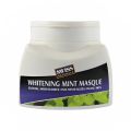 Swiss Naturals Whitening Mint Masque Face mask 125ml. 