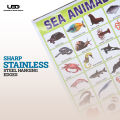 Sea Animals Wall charts For classroom | High Quality Sea Animals Chart on 200 grams Laminated Card | Preschool Decoration. 