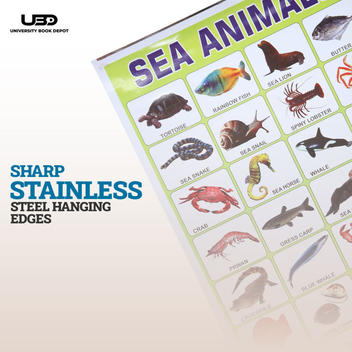Sea%20Animals%20Wall%20charts%20For%20classroom%20%7C%20High%20Quality%20Sea%20Animals%20Chart%20on%20200%20grams%20Laminated%20Card%20%7C%20Preschool%20Decoration%20-%20Image%207