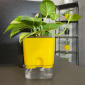 Self Watering Pots for Indoor & Outdoor Plants -Square Shape Elegant Design - Home Decor (Pack Of 1). 