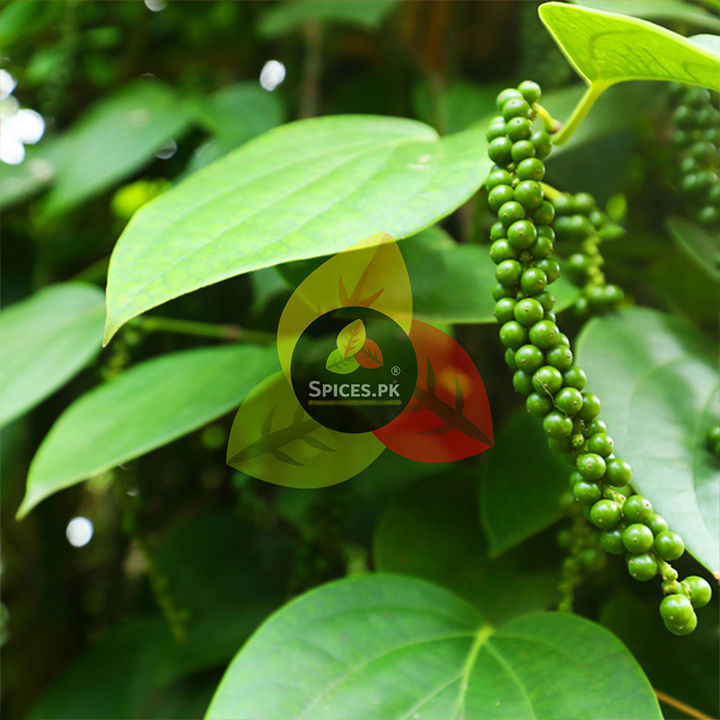 Premium%20Organic%20Black%20Pepper%20Powder%20(Kali%20Mirch%20Powder%20)%20100%25%20Pure%20Fine%20Ground%20Spice%20for%20Curries,%20Soups%20&%20Seasoning%20%E2%80%93%20215g%20-%20Image%207