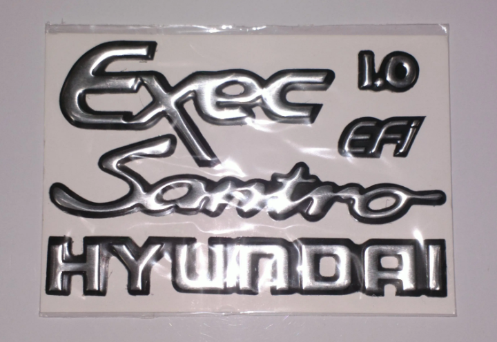 Hyundai Santro Executive Monogram Kit