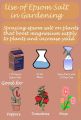 Epsom Salt 1000 gram– epsom salt for Plant Growth- Natural - Epsom Salt With Crystals For Plants/bath/ multi purpose salt. 