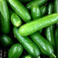 "Apnaugao Heirloom Cucumber Seeds Collection: Packets of 6  Featuring White Wonder, Marketer, Cornichon de Paris, Alficoz, Ashley, and Kheera Varieties for a Diverse Harvest. 