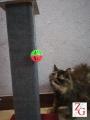 Cat Scratch Post - The Ultimate Scratching Post - First Time In Pakistan - Red. 