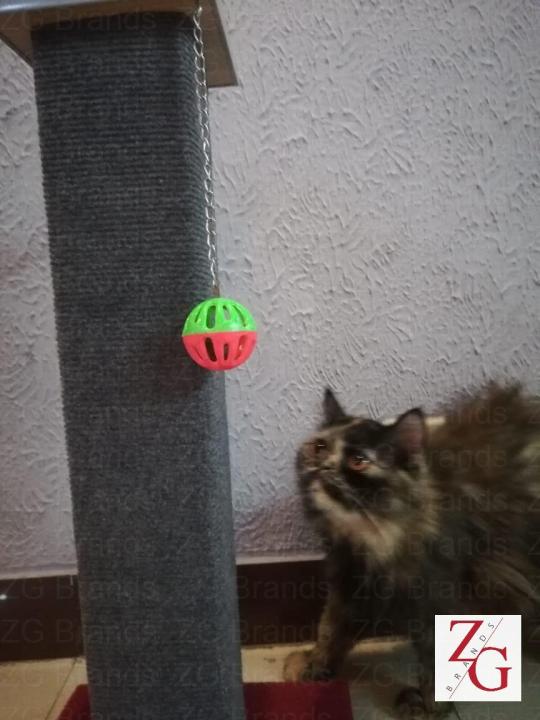 Cat%20Scratch%20Post%20-%20The%20Ultimate%20Scratching%20Post%20-%20First%20Time%20In%20Pakistan%20-%20Red%20-%20Image%209