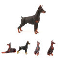 Doberman Pinscher Model Cognitive Ability Burrs-free Smell-less Action Figure Toy Doberman Pinscher for Children. 