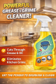 STRASS KITCHEN DEGREASER POWER SPRAY. 