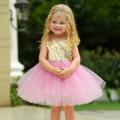 Birthday Dress For Baby Girl. 