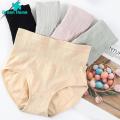Green Home Women Briefs Soft 3D Cutting Close Fitting Female Underwear. 