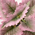IKEA FEJKA Artificial potted plant with pot, set of 3, Painted nettle. 