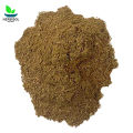 Barge Sanober Powder 50gm برگ صنوبر پسا - Pine Nut Leaves Dry Powder - Chilgozay Ke Patty Pissay - 100% Original, Pure - Barg e Snober Pissa 50 grams by Herbisol. 