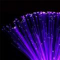 LED Fiber Light Colorful Optic Lamp Party Energy-Saving LED Night Light Wedding Party Decorative Light. 