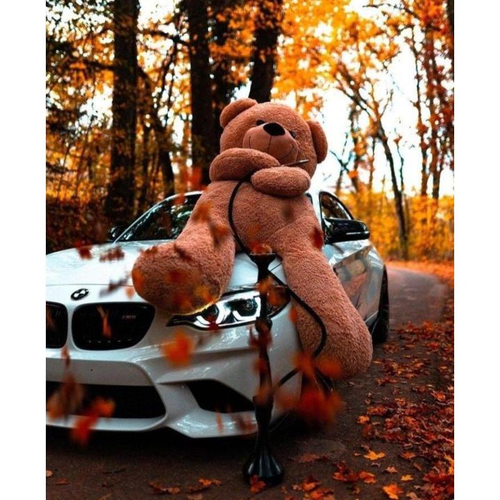 Teddy bear size 4.5 feet imported