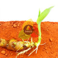 Turmeric Powder / Haldi Powder / Organic Turmeric Powder / Pure Haldi Powder 600g. 