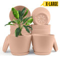 Enhance Your Space with Fast Forward Extra Large Plant Pots – Perfect Home Decor for Indoor and Outdoor Planters with Drainage - Explore Multi-Packs of Plastic Planters for Cactus and Succulents in Six Vibrant Colors. 