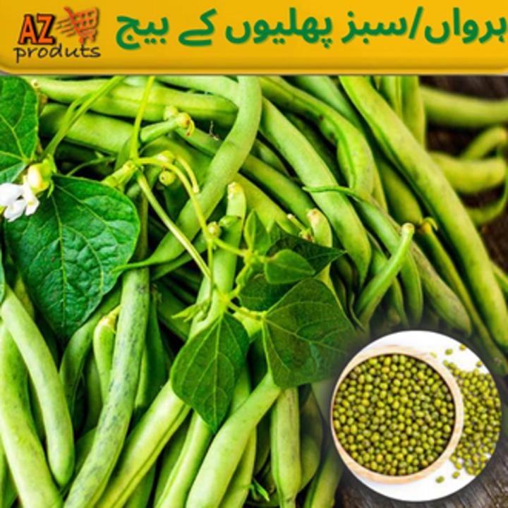 Green Beans Seeds(Hrwan/sbz phlion Ka Beej)(سبز پھلیوں/لوبیا/ہرواں کا بیج)Desi/Germinated/Best Quality/Fast growing/Excellent Germination/High Quality/Healthy Vegetable Seeds/Vegetable/Home/Kitchen/Gardening seeds/beej/Vegetables
