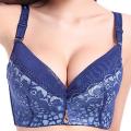 Double Padded New slim Stylish  bra for  girls and Women. 