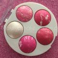 5 in 1 Professional Terracotta Blush On Palette Kit. 