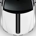 Car bonnet sticker. 