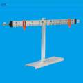 Leverage Ruler Experiment Sturdy Physical Mechanics Experiment Balance Scale. 