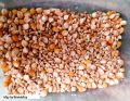 Birds feed 1kg /1000g Add up for soft food used for birds like cocktail cockatoo Alexandrine parakeet, RAW, Pahari Totta Larges Parrots, Suitable for African Grey Parrot, Macaw, lovebirds, Australian parrots, raw, ring neck and Other similar birds. 