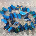 5Pcs Colorful Butterfly Hair Clips Parrty Dressing Accessories. 